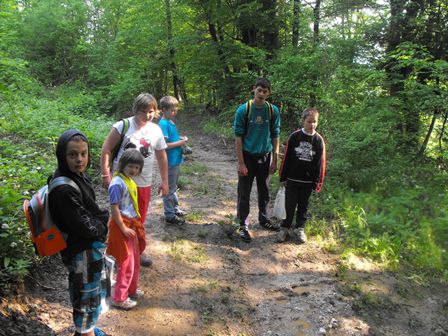 Bogastvo narave pomladi: Cvetlice in zelišča